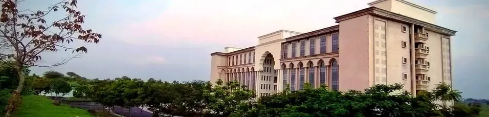 gallery 11