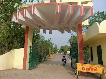 gallery 6