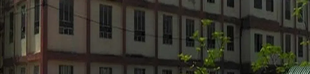 gallery 6