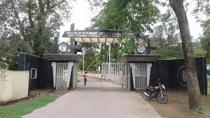 gallery 12