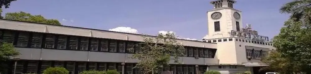 gallery 10