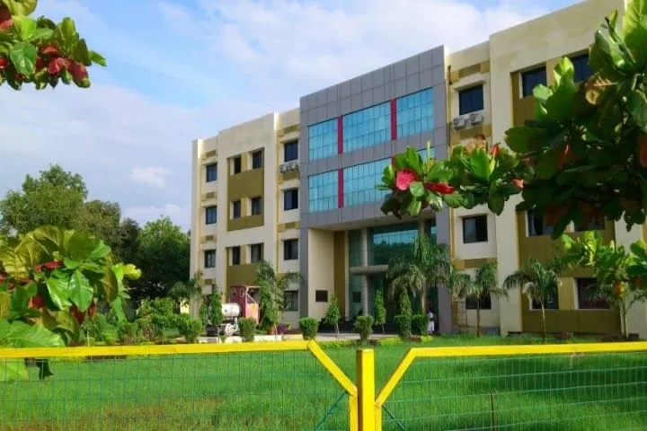 gallery 7