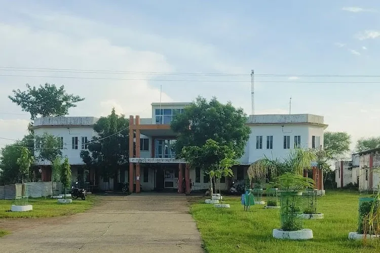 Gallery 5