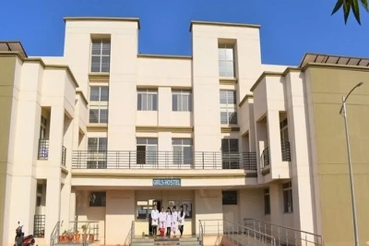gallery 6