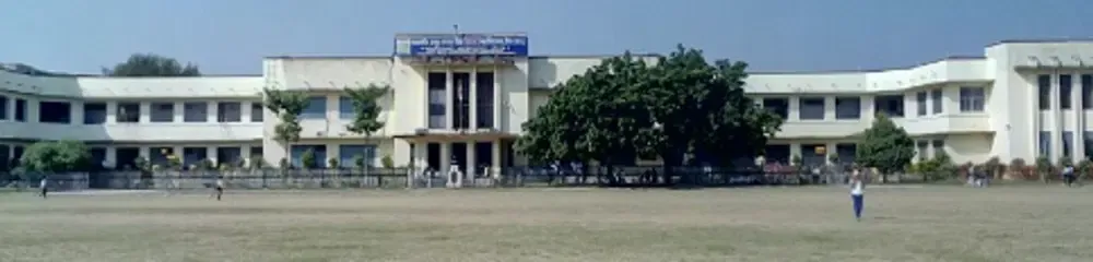 Gallery 5