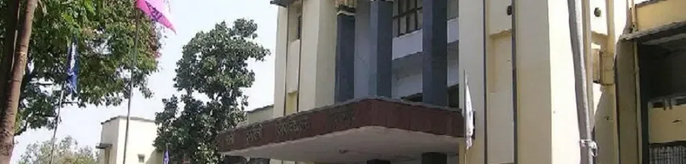 gallery 8