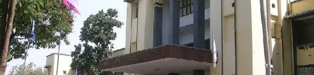 gallery 7