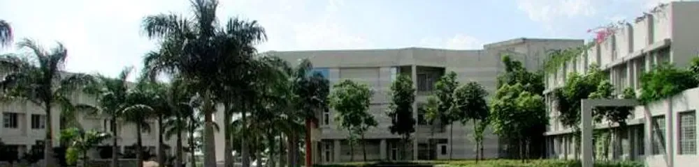 gallery 10