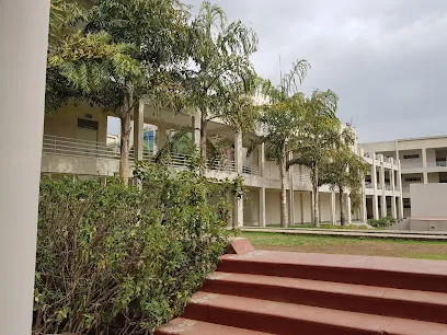 gallery 11