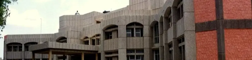 gallery 6