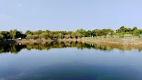 gallery 15