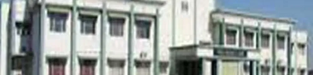 Gallery 5