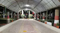 gallery 13
