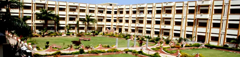 Gallery 5