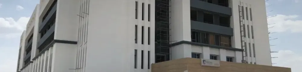 gallery 8