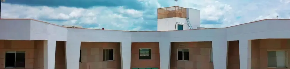 gallery 11