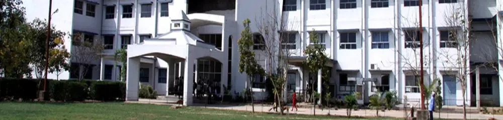 gallery 11