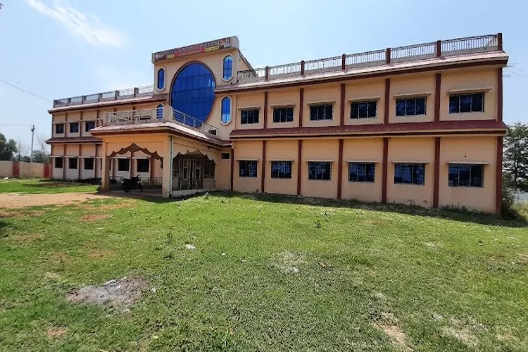 gallery 6