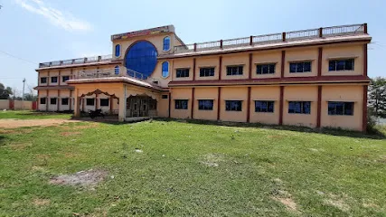 gallery 11