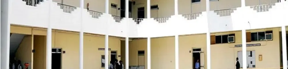 gallery 7