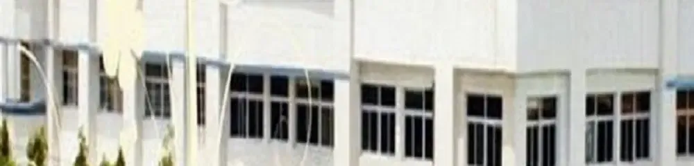 gallery 4