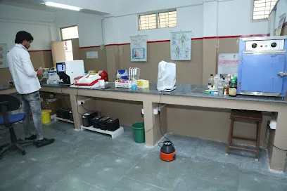 gallery 6