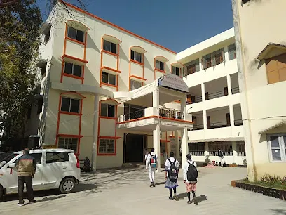 gallery 6