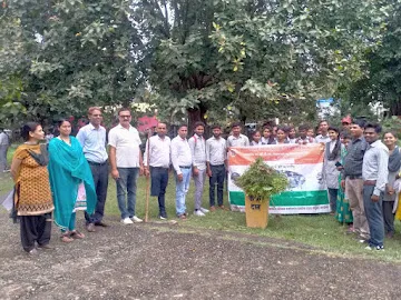 gallery 13