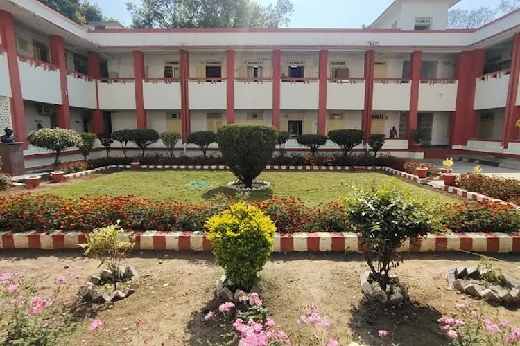 gallery 7