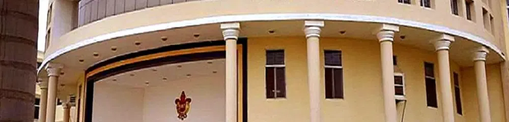 gallery 11