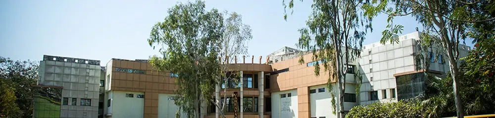 gallery 6