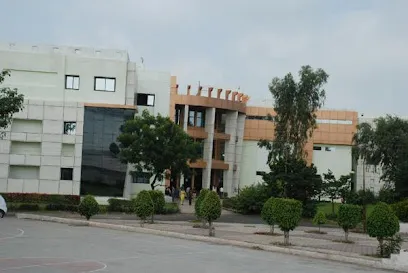 gallery 7
