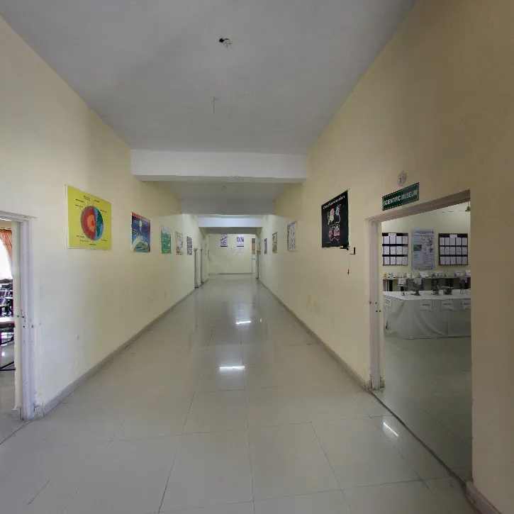 gallery 7