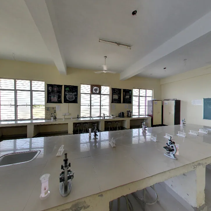 gallery 8