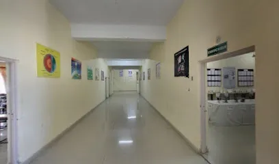 gallery 13