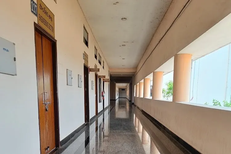 gallery 9