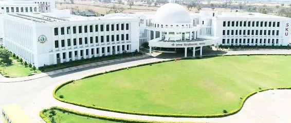 gallery 11