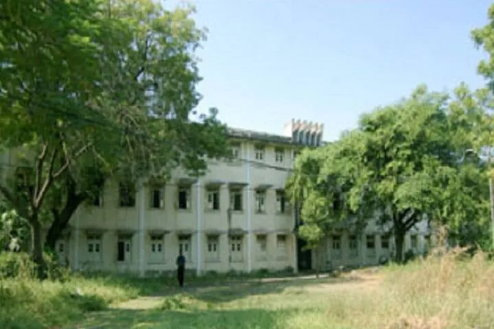Gallery 5
