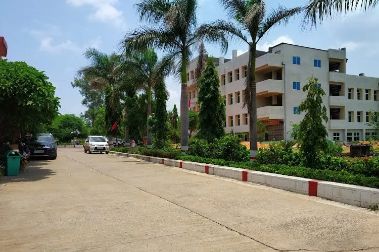 gallery 8