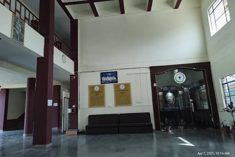 gallery 6