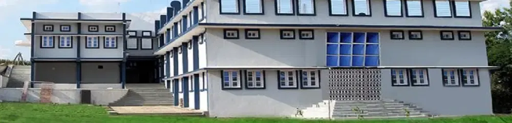 Gallery 5