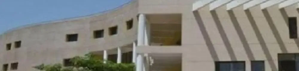 gallery 8