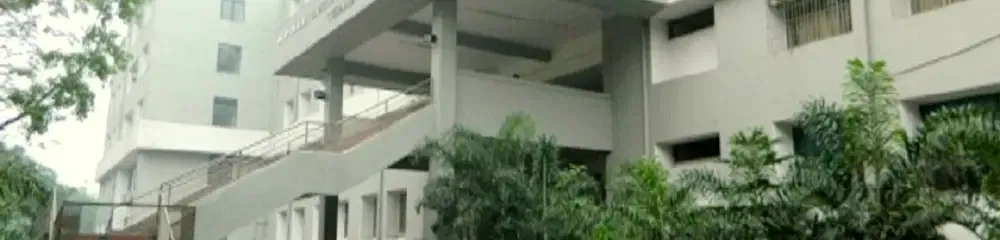 Gallery 5
