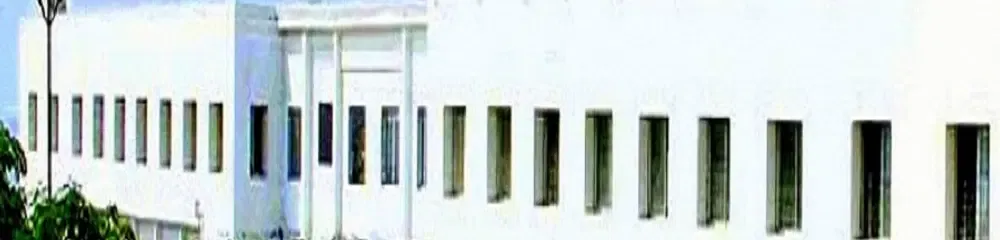 gallery 6