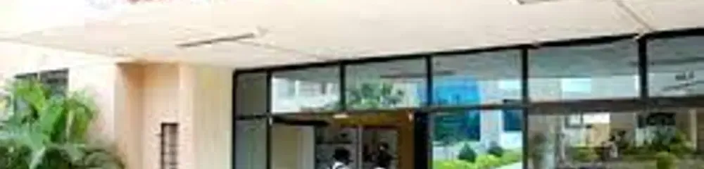 gallery 5