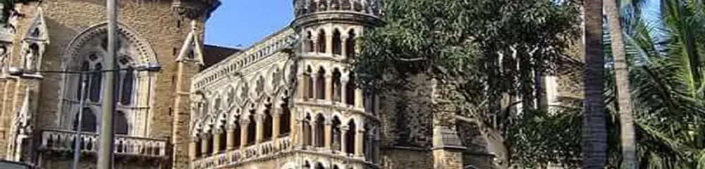 Gallery 4