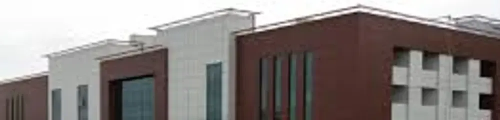 gallery 6