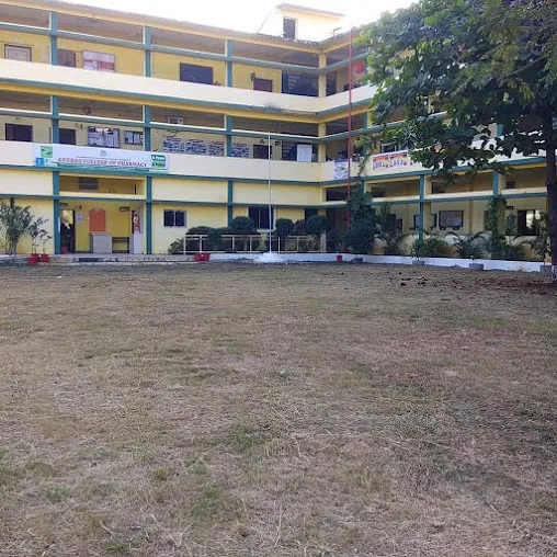 gallery 6