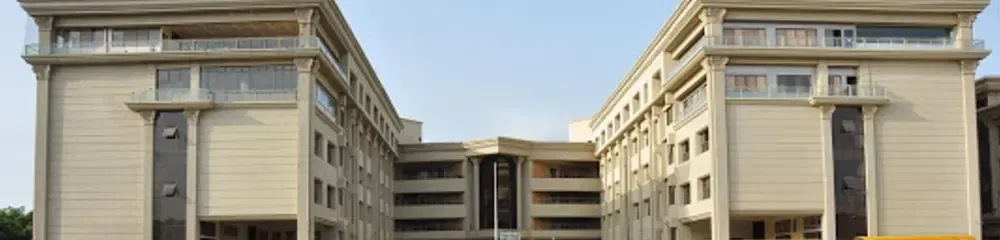 gallery 7