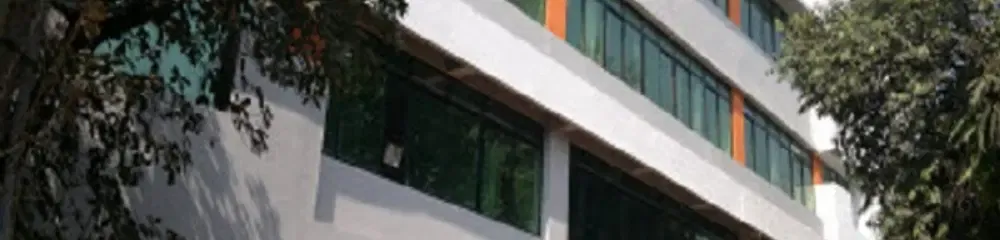 Gallery 4